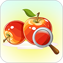 果蔬百科水果識別app