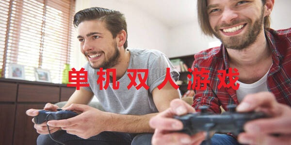 單機(jī)雙人游戲工具有哪些-單機(jī)雙人游戲應(yīng)用推薦