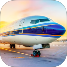 真實(shí)開飛機(jī)模擬器最新版