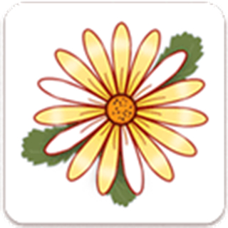 月經(jīng)期記錄