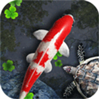 魚池(池塘動態(tài)壁紙)