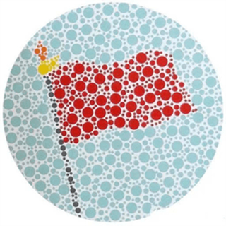 小马色盲检测app