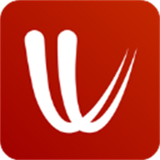 windyty中文手機(jī)版