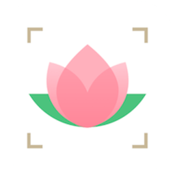 識花大師app