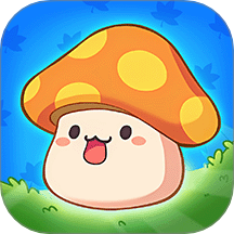 冒險(xiǎn)島楓之新篇