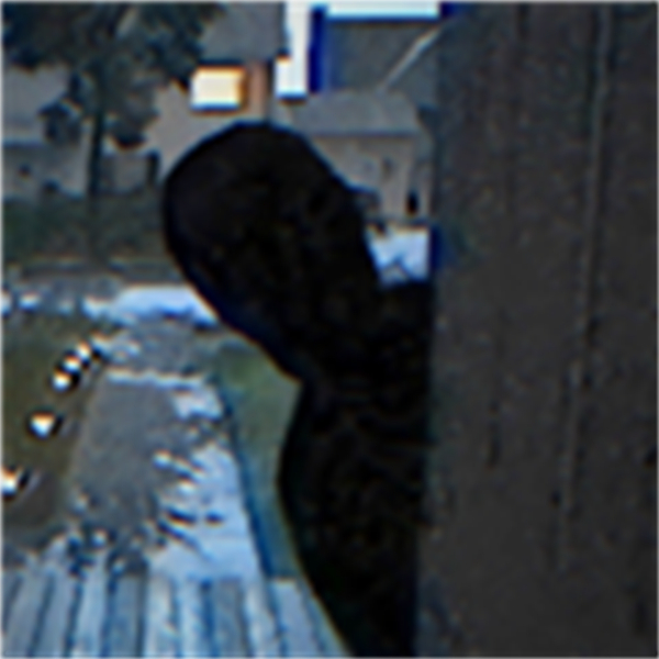 别给陌生人开门中文版