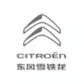 東風(fēng)雪鐵龍
