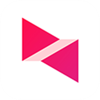 向日葵遠(yuǎn)程控制專業(yè)正式版