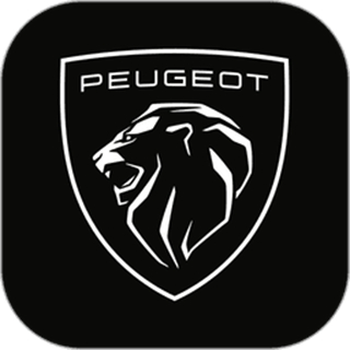 東風(fēng)標(biāo)致