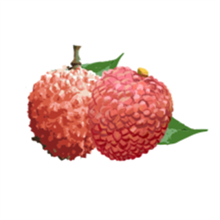 增城泊車官方版