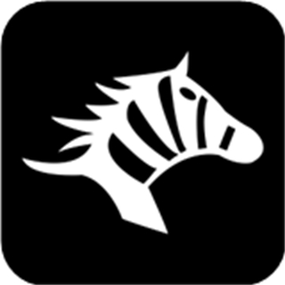 斑馬快跑網(wǎng)約車