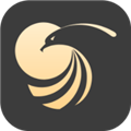 掌上金鹰app免费版