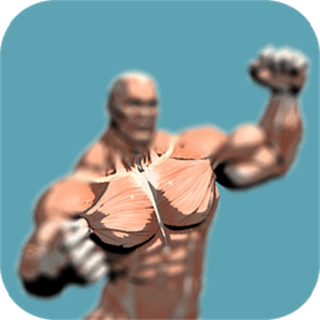 跟我练胸肌手机版