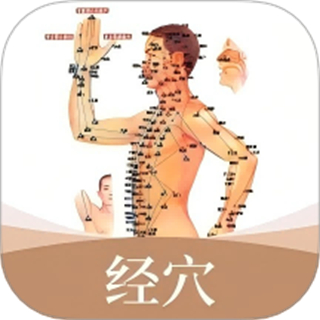 经络穴位标准指南