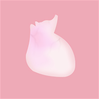 life生命體征模擬器軟件