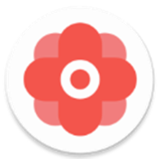 华为手机gms谷歌框架安装器