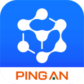 平安数字口袋app