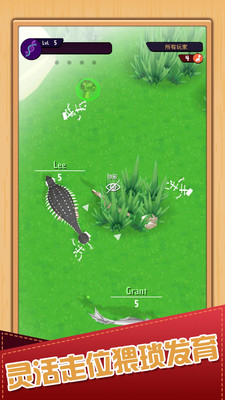 動物冒險島 v1.0.1最新版 1