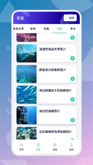 海來了 v1.1 安卓版 2