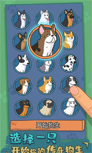 狗生模擬器1.0 v1.0.12 手機(jī)版 1