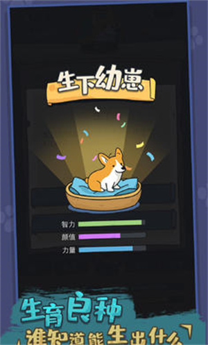 狗生模擬器1.0 v1.0.12 手機(jī)版 2