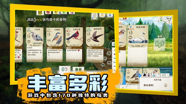 鳥類觀察家 v1.1.101 手機(jī)版 1