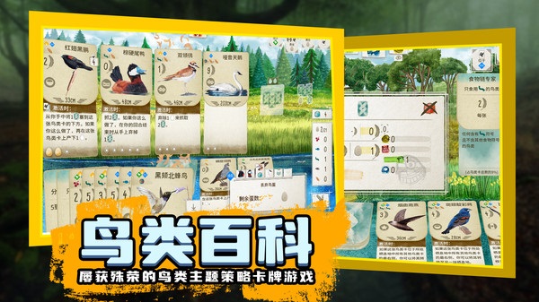 鳥類觀察家 v1.1.101 手機(jī)版 2