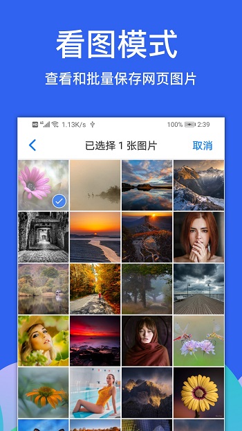 alook瀏覽器最新版app v9.5 官方手機(jī)版 3