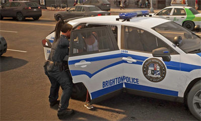 邊境警察巡邏模擬器 v1.1 安卓版 0