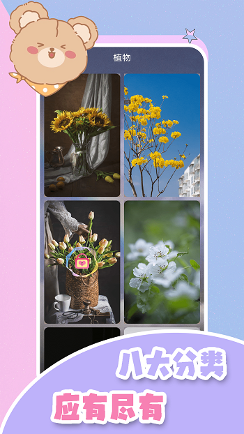 元氣小熊壁紙高清 v3.0 安卓版 2
