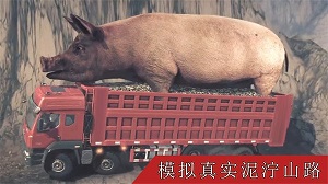真實(shí)卡車(chē)遨游模擬器 v1.0 安卓版 0
