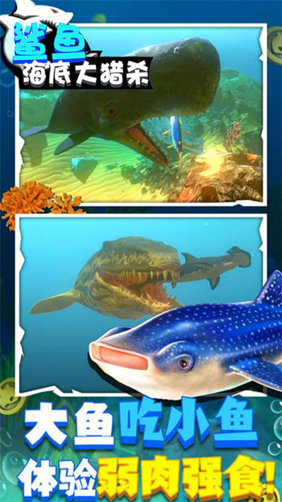 鯊魚海底大獵殺 v1.1 安卓版 2