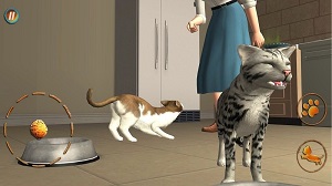 貓咪想戀愛 v300.1.0.3018 安卓版 2