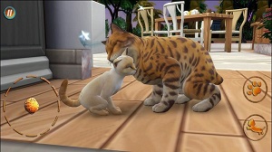 貓咪想戀愛 v300.1.0.3018 安卓版 0