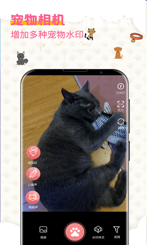 寵物趣味翻譯器 v4.1.43安卓版 1