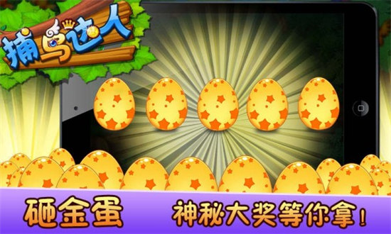 捕鳥達(dá)人游戲 v6.1.0 0
