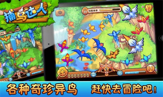 捕鳥達(dá)人游戲 v6.1.0 2