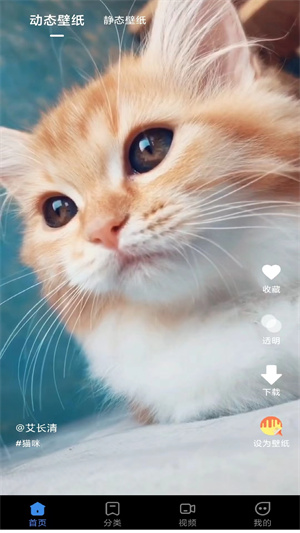 快滑壁紙秀秀 v1.0 安卓版 0