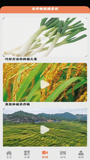 田園小院手游 v1.1.6 安卓版 3