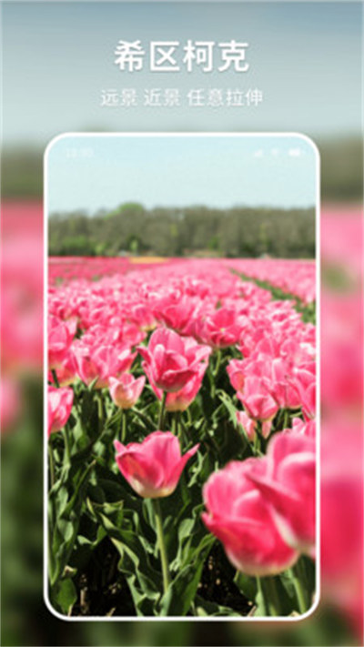 妙圖看看 v1.0.1 安卓版 1