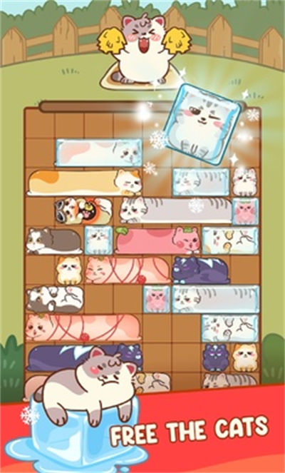 滑貓 v1.0 安卓版 4