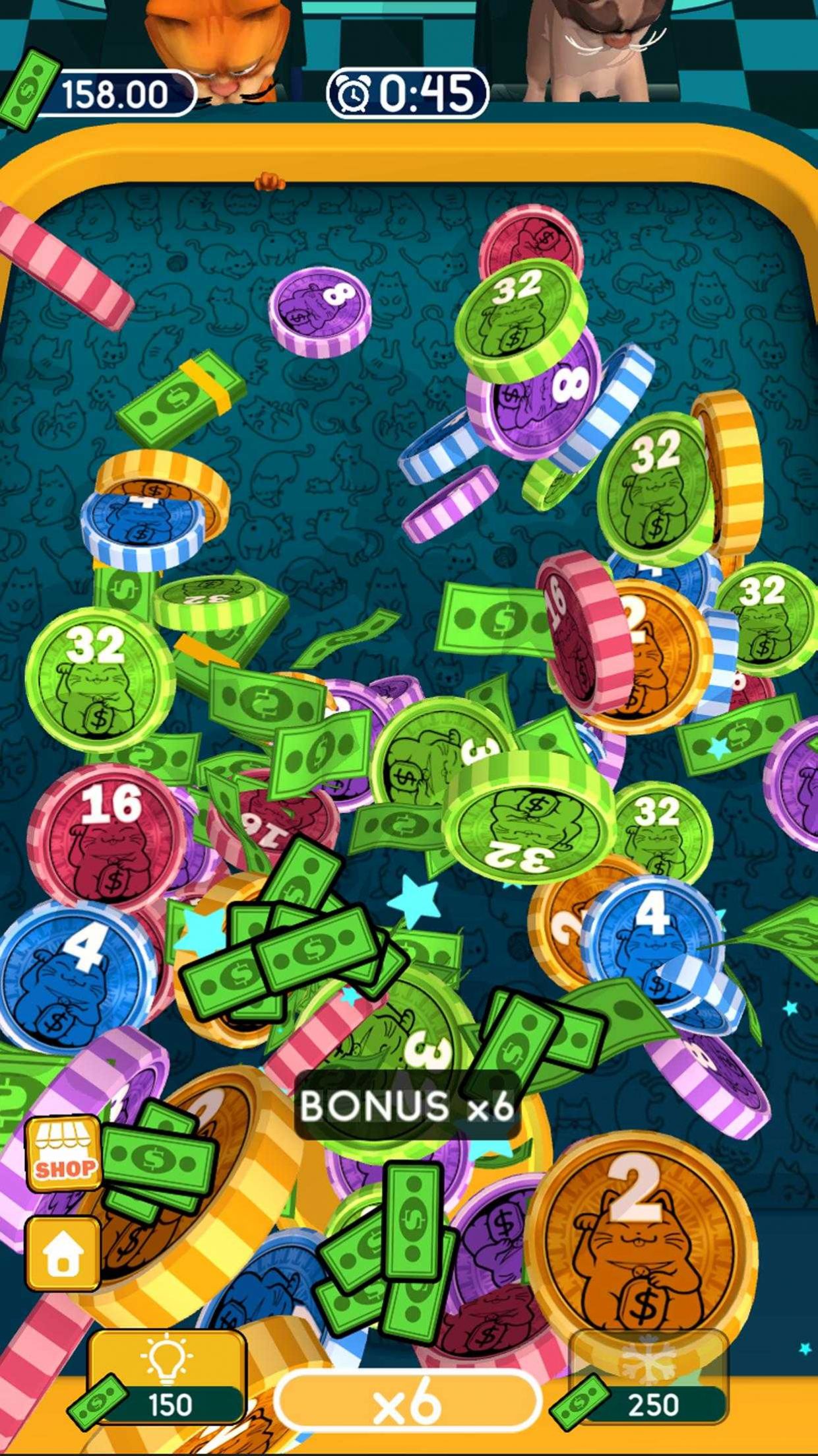 普利拓斯貓分類 v1.0.1 安卓版 2