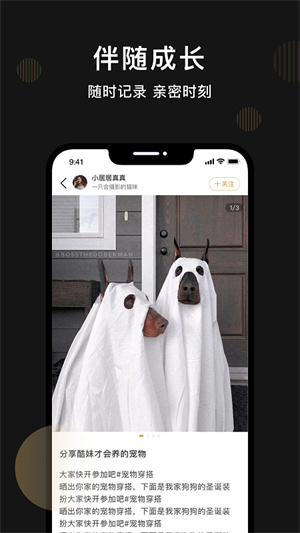 皮可寵物 v1.1.1 安卓版 1