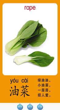 天天蔬果 v1.0.0 安卓版 3