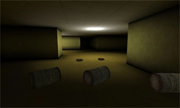 后室恐怖級(jí)別 v0.1.7 安卓版 0