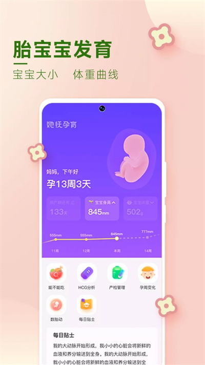 她撫孕育 v2.0.5 安卓版 2