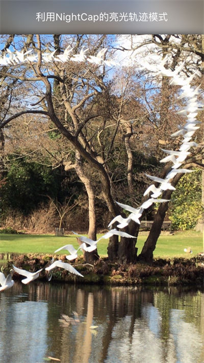 NightCap相機(jī) v9.9.1 ios版 2