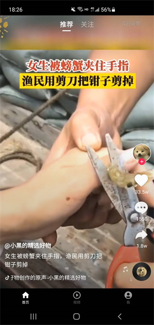 豆子刷刷 v1.0 安卓版 2