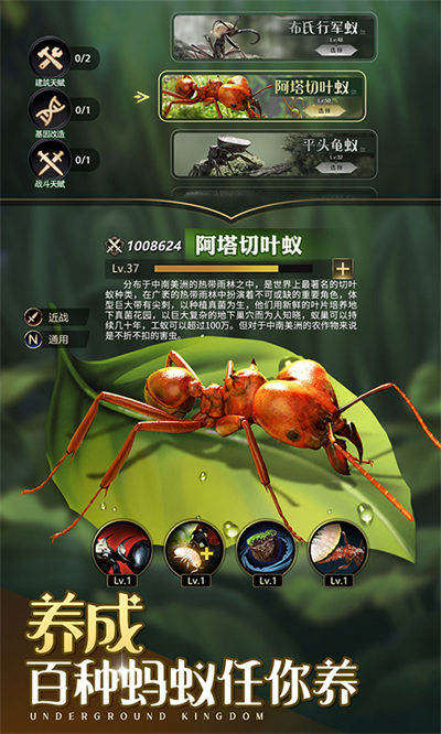 盟軍總動(dòng)員 v1.31.0 安卓版 2