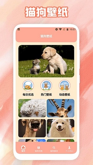 狗叫翻譯器 v1.1 安卓版 1